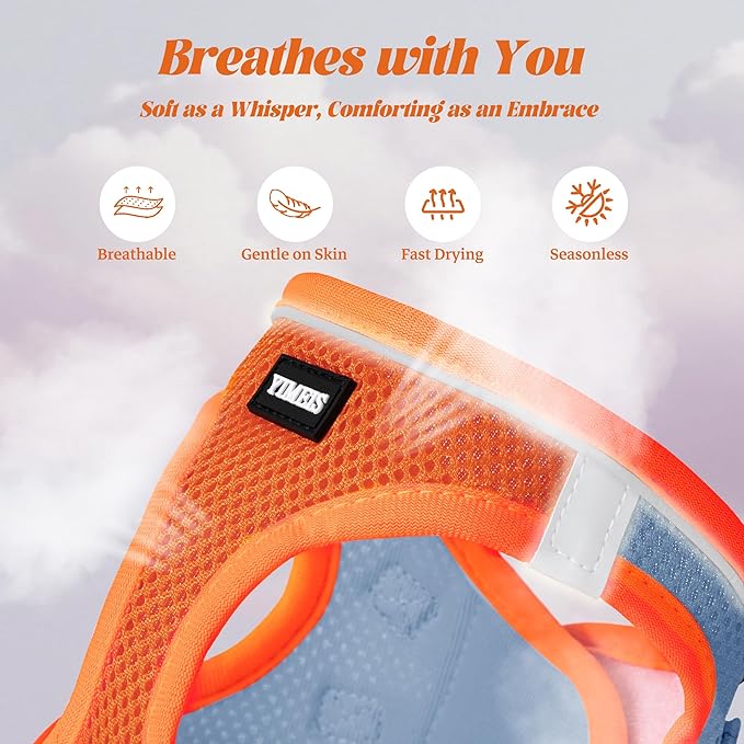 YIMEIS Dog Harness and Leash Set, No Pull Soft Mesh Pet Harness, Reflective Adjustable Puppy Vest for Small Medium Large Dogs, Cats (Orangeblue, X-Small (Pack of 1)