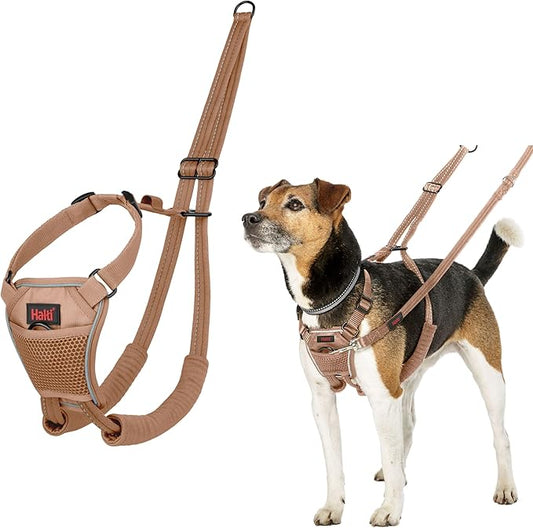 Halti No Pull Harness - Stop Your Dog Pulling on The Leash. Adjustable, Lightweight and Easy to Use. Reflective Dog Training Harness for Toy and Small Dogs (Size XS, Desert Sand)