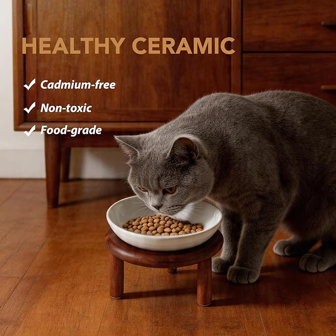 Havniva Elevated Cat Bowls Raised Ceramic Cat Bowl, 5.9” Wide Opening Cat Food Bowl Whisker Friendly Cat Dish Anti-Slip with Wood Stand, Shallow Pet Food & Water Bowl for Indoor Cats