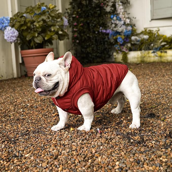 Vecomfy Fleece Lining Extra Warm Dog Hoodie in Winter for Large Dogs Jacket Pet Coats with Hooded,Red XXL