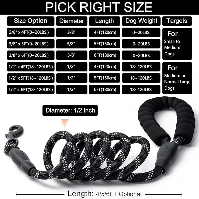 2 Pack Dog Leash, 4/5//6 FT Heavy Duty Nylon Rope Pet Leashes with Comfortable Padded Handle, Reflective Dog Leashes for Small Medium and Large Dogs (6FT-3/8,Black/Turquoise)