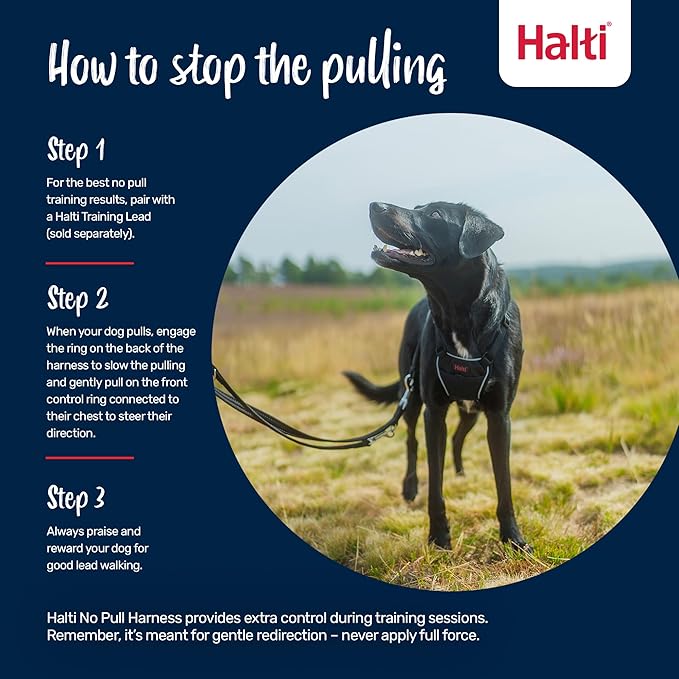 Halti No Pull Harness - Stop Your Dog Pulling on The Leash. Adjustable, Lightweight and Easy to Use. Reflective Dog Training Harness for Medium Dogs (Size M, Desert Sand)