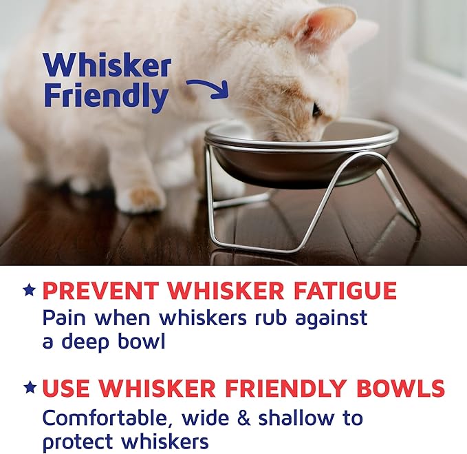 Raised Cat Bowl Stand for Food & Water by Americat – Made in USA – Stainless Steel, Spill-Proof Elevated Feeder, Dishwasher Safe, Human Grade, Whisker Friendly (Bowl + Stand)