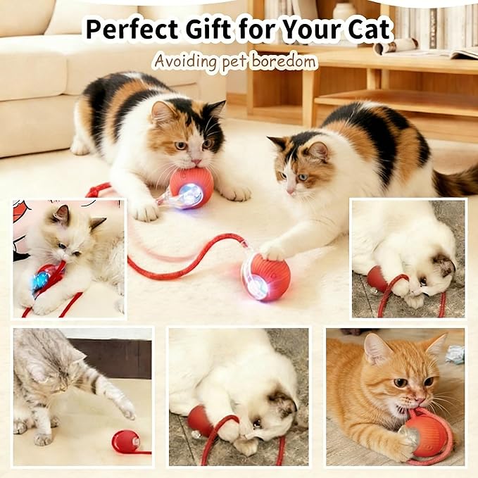 Rechargeable Smart Rolling Cat Ball, Automatic Interactive Cat Toy with 3 Modes, LED Light & 3 Replaceable Accessories, Indoor Cat Exercise Toy for Kittens & Adult Cats, for Boredom Relief red+red