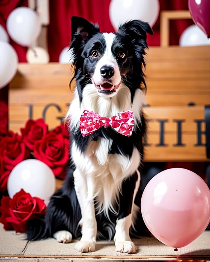 PET SHOW 10 Pack Holiday Big Dog Bow Ties for Large Medium Dogs Sliding Collar Attachments Festival Patterns Bowties Classy Bowknots Party Wedding Pet Grooming Accessories(Large)
