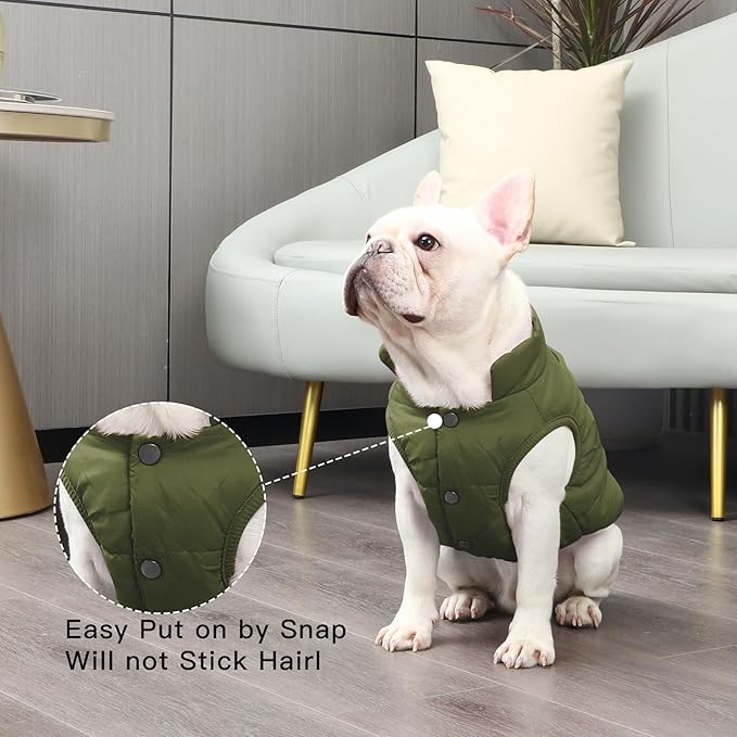 JoyDaog 2 Layers Fleece Lined Warm Dog Jacket for Winter Cold Weather,Soft Windproof Medium Dog Coat,Green L