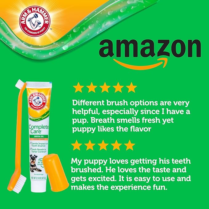Arm & Hammer Complete Care Dental Gel Dog Toothbrush Kit, Includes Gel Toothpaste, Toothbrush, and Finger Brush, Baking Soda Enhanced, Fluoride Free, Chicken Flavor, 2.5 Oz