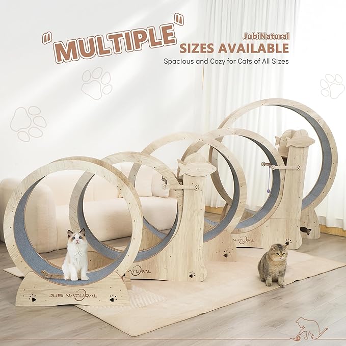 Cat Exercise Wheel for Indoor Cats, 35.9" Compact Cat Running Wheel with Scratching Board, Teaser Toy & Storage Shelf, Quiet Carpet Track, Safety Lock & Anti-Pinch Design, Space-Saving Cat Treadmill