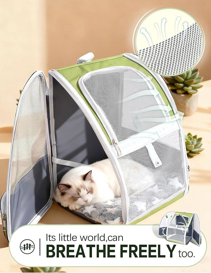 Cat Backpack Carrier with Washable Bed Mat Breathable Cat Carrier Large Space Medium Small Dog Puppy Kitty Ventilated Mesh Pet Backpack for Cats Travel Walking Outdoor Use(Green 13.8" Lx11.4 Wx16 H)