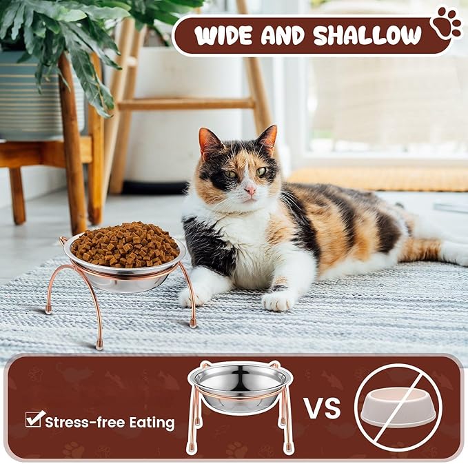 6 Sets Stainless Steel Elevated Cat Bowls 5.5 Inch Wide Raised Cat Bowls with Metal Stand Stress Free Elevated Shallow Water Dish Indoor Kitten Feeding Dish to Prevent Fatigue, 12 oz