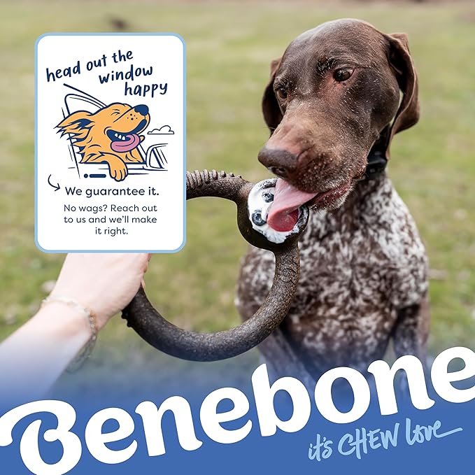 Benebone Limited Edition Blueberry Medium 4-Pack Dog Toys for Aggressive Chewers, Durable Dog Bones, Made in USA, Dog Toys for Medium Dogs Under 60 lbs