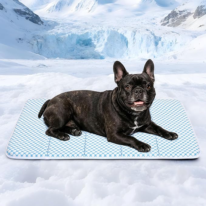 Dog Cooling Mat for Medium Dogs - 30x20 Orthopedic Memory Foam Pet Pad for Summer, QMAX>0.5, Washable Premium Comfort Crate Pad for Your Furry Companion, Blue