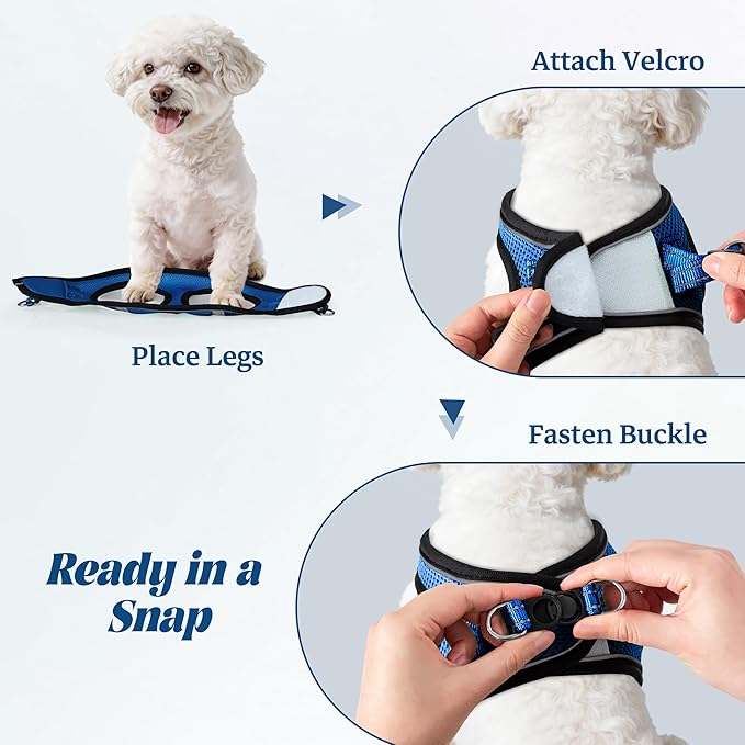 YIMEIS Dog Harness and Leash Set, No Pull Soft Mesh Pet Harness, Reflective Adjustable Puppy Vest for Small Medium Large Dogs, Cats (Royal Blue & Black, X-Small (Pack of 1)