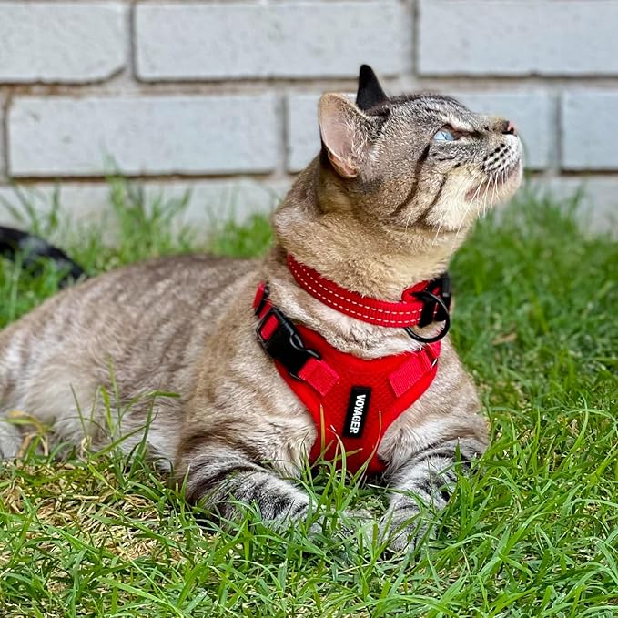 Best Pet Supplies Voyager Step-in Lock Pet Harness w Reflective Pet Leash Combo Set with Neoprene Handle 5ft - Supports Small, Medium and Large Breed Puppies/Cats - Red, S