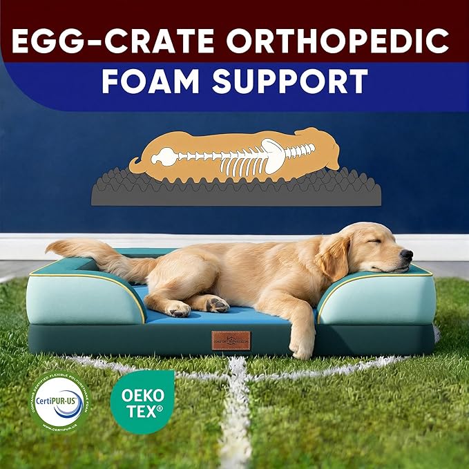 Comfort Expression Orthopedic Dog Bed for Extra Large Dogs 42x30 Inch, Waterproof Egg Crate Foam XL Pet Bed with Bolsters, Dog Couch with Washable Cover & Non-Slip Bottom, Seattle