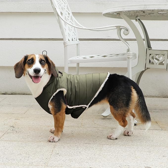Vecomfy Fleece Lining Dog Hoodie with Harness Built in,Extra Warm Medium Dog Jacket in Winter Doggie Coats with Drawstring Hooded,Green XL