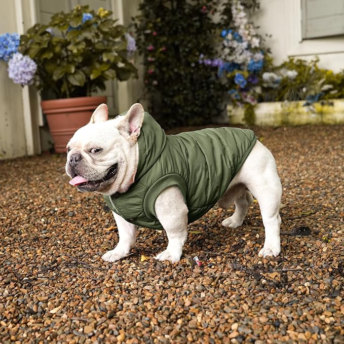 Vecomfy Fleece Lining Extra Warm Dog Hoodie in Winter,Small Dog Jacket Puppy Coats with Hooded Green S