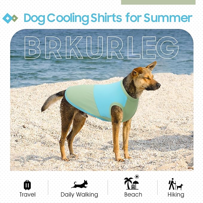 BRKURLEG Dog Cooling Vest, UPF 50+ Sun Protection Dog Cooling Shirts, Breathable Quick Dry Vest for Small to Large Dogs & Cats, Lightweight Summer Pet Clothing for Hiking, Beach, Bluegreen, XXL