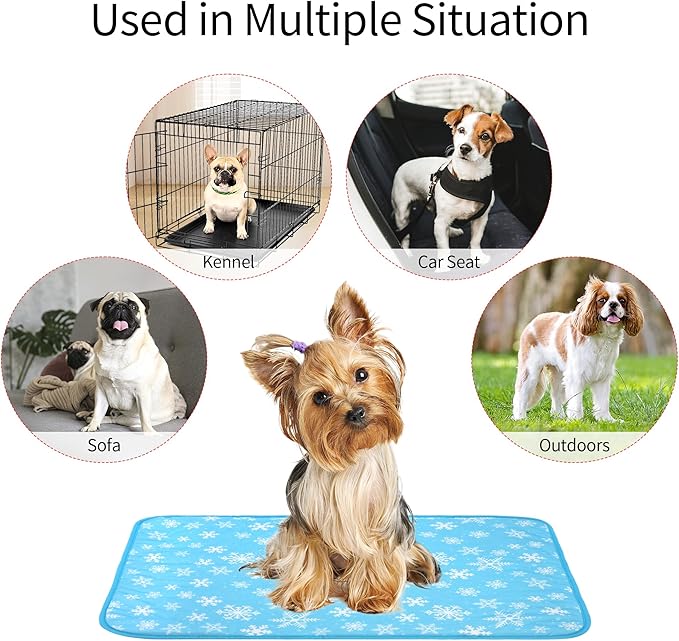 DELIFUR Dog Cooling Mat - Pet Cooling Mat Outdoor for Dogs Self Cooling Pad for Puppy Small Medium Dog Machine Washable (Large, Blue Snowflake)