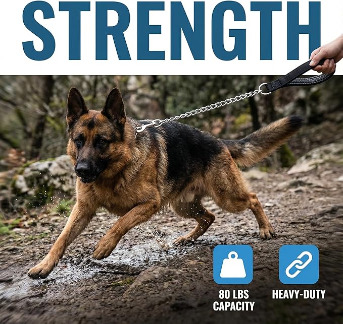 Heavy Duty Dog Leash,Metal Dog Chain Leash with Padded Handle for Large & Medium Size Dogs (6 ft. x 3.0 mm (25-120 lbs.))