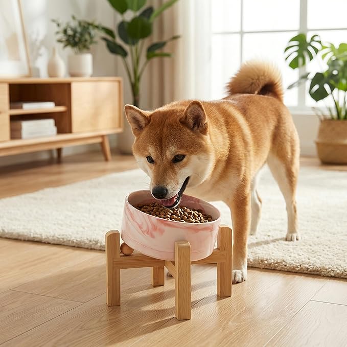 hjn Elevated Ceramic Dog Bowl 15°Slanted Raised Dog Bowl with Bamboo Stand for Small Medium Dogs and Cats, Pet Feeder -3.6-Cup (850ml)-Marble Pink