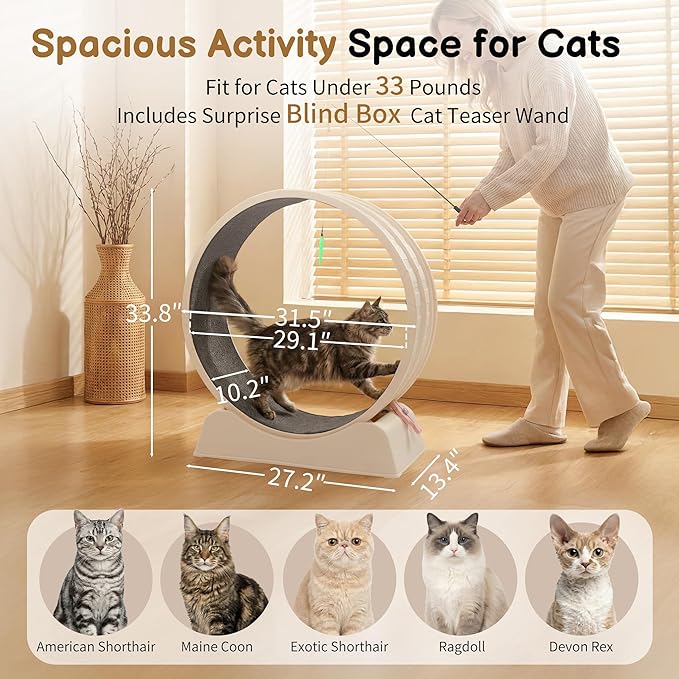 Outvita Cat Exercise Wheel for Indoor Cats, 31.5" Cat Treadmill with Detachable Carpet ＆ Locking Mechanism, Cats Running Wheel Helps Cats to Lose Weight and Keep Health, Easy Assembled (White)