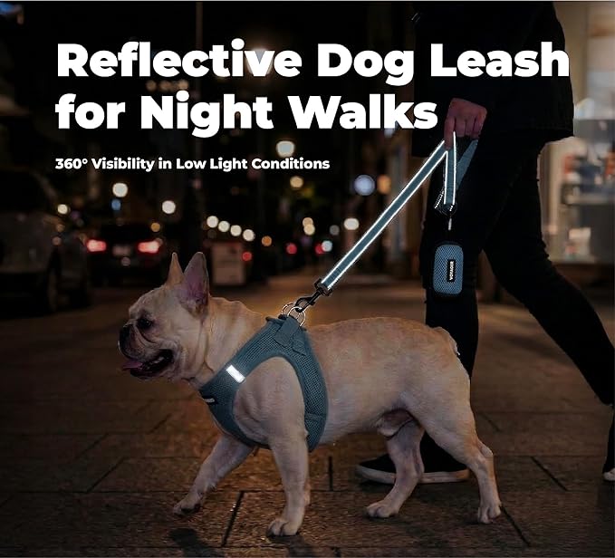 Best Pet Supplies Voyager Reflective Dog Leash or Collar with Neoprene Handle, for Small, Medium, and Large Breed Puppies, Cute and Heavy Duty for Walking, Running and Training - Baby Blue (Leash), S