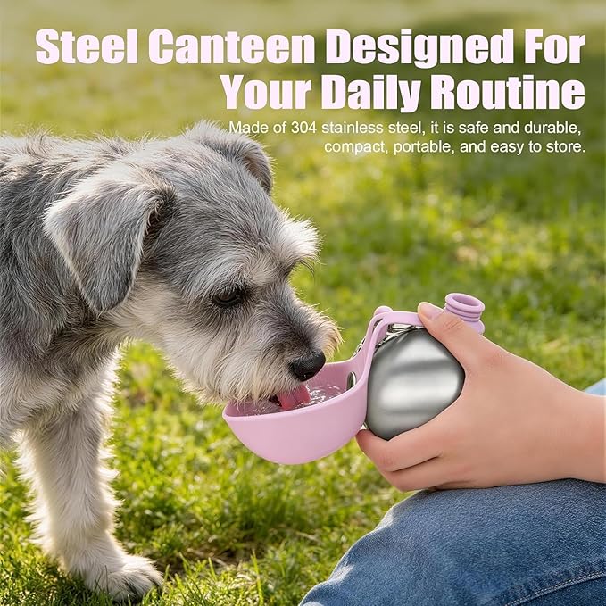 Portable Dog Water Bottle, 10 fl oz Stainless Steel Bottle & Silicone Bowl, Leak-Proof & Compact Puppy Travel Water Bottle with Lanyard, Water Dispenser for Walking Hiking Traveling, Printed, Pink