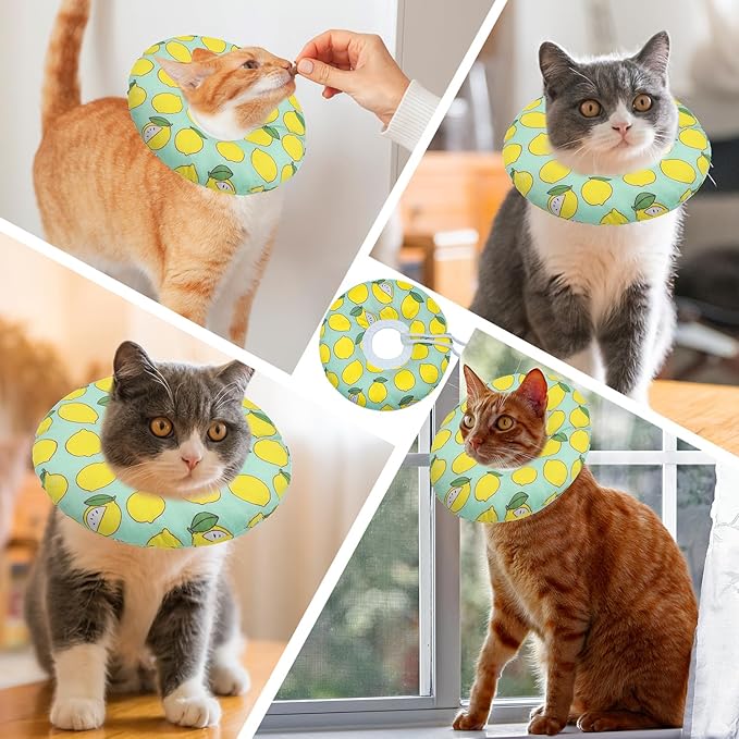 Seyezo Cat Cone Collar Soft, Adjustable Cat Recovery Collars Kitten Cones to Stop Licking, Cute Donut E Collar After Surgery, Soft Cone Elizabethan Collar for Kittens (Green Lemon, Medium)