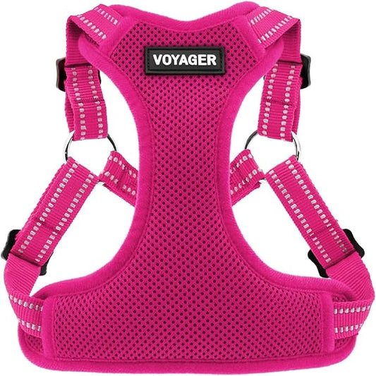 Best Pet Supplies Voyager Adjustable Step-in Flex Breathable Mesh Dog Harness for Small Medium Large Dogs (Fuchsia), XS