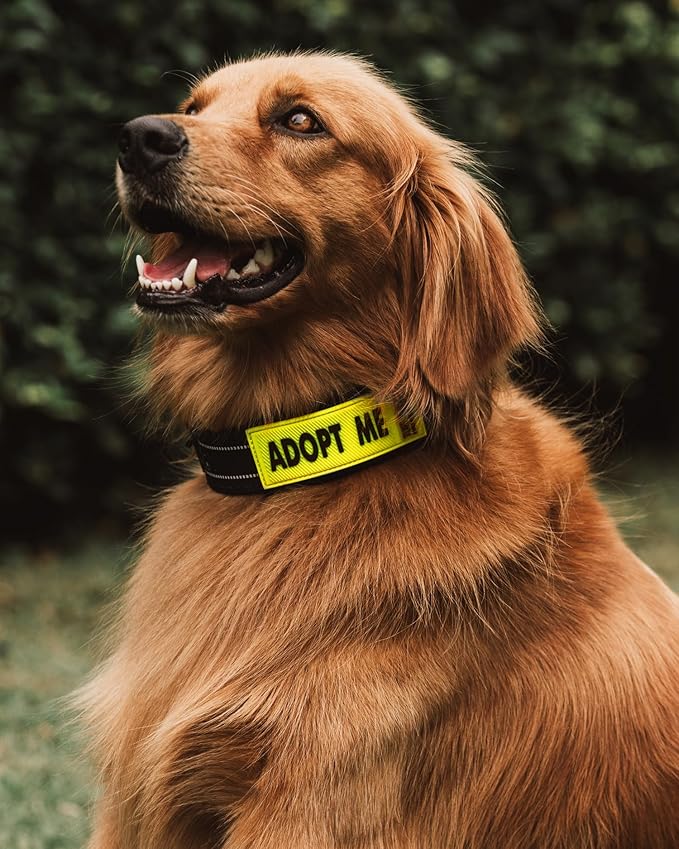 Tuff Pupper 2-Pack Waterproof Collar Sleeves | Fits Any 1 Inch Wide Dog Collar | Dual Sided Message | Durable Silicone & Neoprene | Odor & Stink Proof | Easy Slide On & Off (Adopt Me, Standard)
