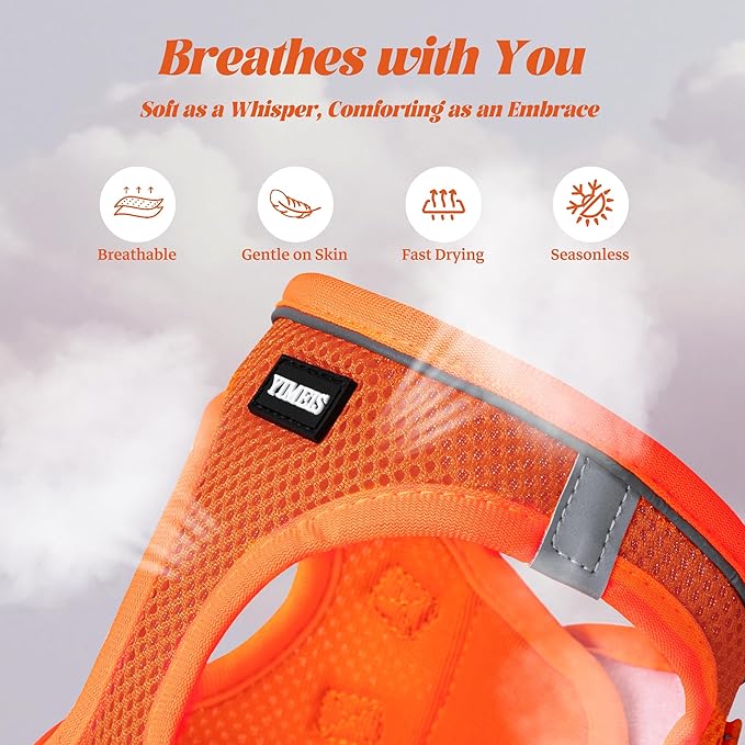 YIMEIS Dog Harness and Leash Set, No Pull Soft Mesh Pet Harness, Reflective Adjustable Puppy Vest for Small Medium Large Dogs, Cats (Orange01, X-Small (Pack of 1)