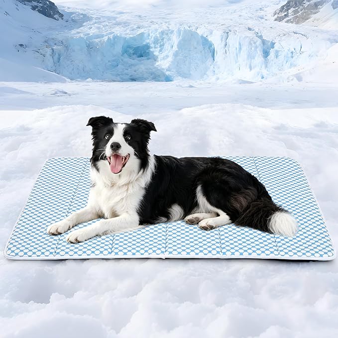 Dog Cooling Mat for Large Dogs - 35x23 Orthopedic Memory Foam Pet Pad for Summer, QMAX>0.5, Washable Premium Comfort Crate Pad for Your Furry Companion, Blue