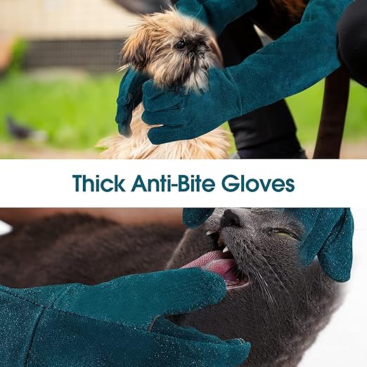 AOWPFVV Animal Handling Gloves Bite Proof Leather Dog Cat Scratch Bird Falcon Grabbing Reptile Squirrel Snake