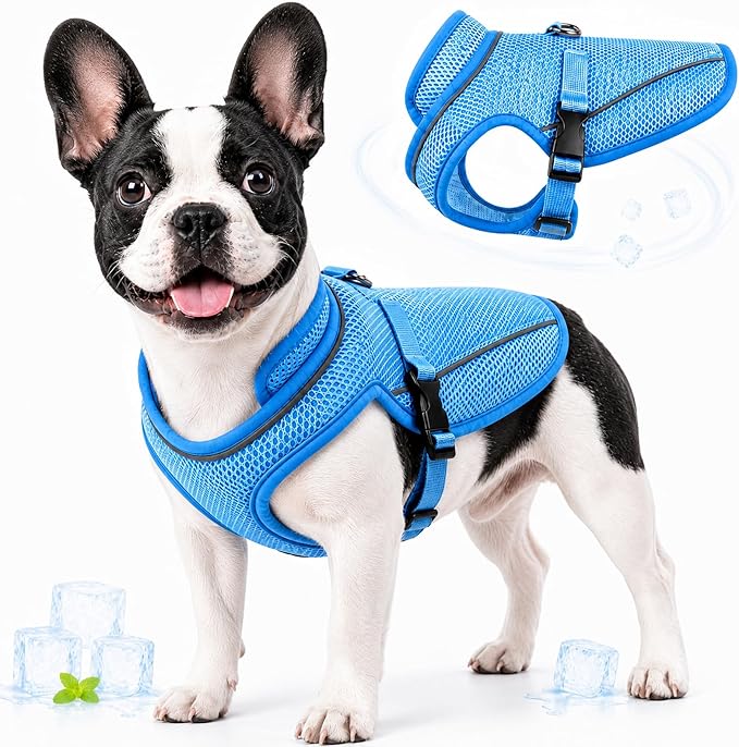 Dog Cooling Vest, Evaporative Cooling Dog Jacket with UV Protection, Lightweight Breathable Mesh Dog Cooling Shirt, Summer Heat Relief Gear with Adjustable Buckles for Hot Weather Walking & Hiking