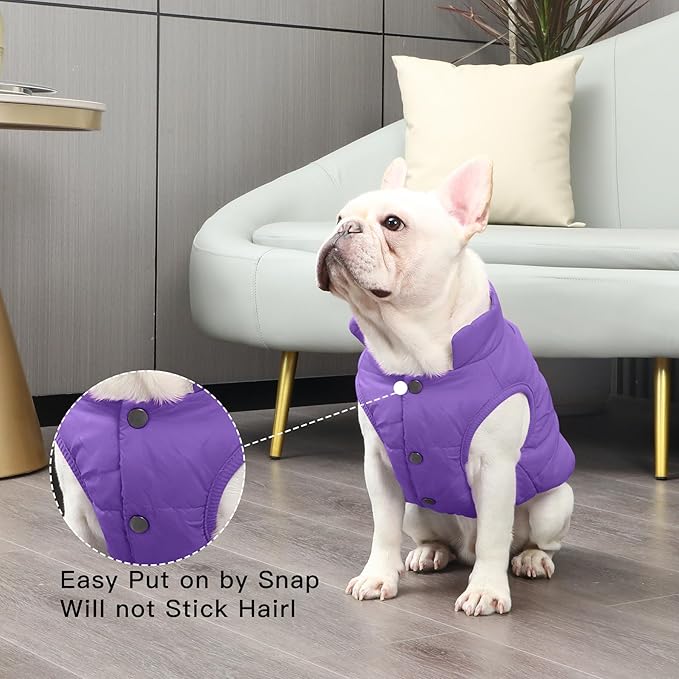 JoyDaog 2 Layers Fleece Lined Warm Dog Jacket for Puppy Winter Cold Weather,Soft Windproof Small Dog Coat,Purple M