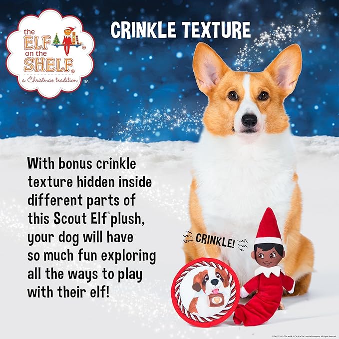 The Elf on the Shelf 2pc Dog Toy Set with Elastic Scout Elf + Elf Pets Saint Bernard Plush Flattie Disk, Squeaky Dog Toys | Bungee Dog Toys for Tug | Stocking Stuffers for Dogs