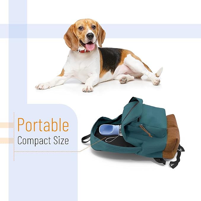Mr. Pen- Portable Dog Water Bottle, 19 oz, Large, Leak Proof Puppy Water Dispenser with Drinking Feeder for Pets, Outdoor Walking, Hiking, Travel, Not Dishwasher Safe