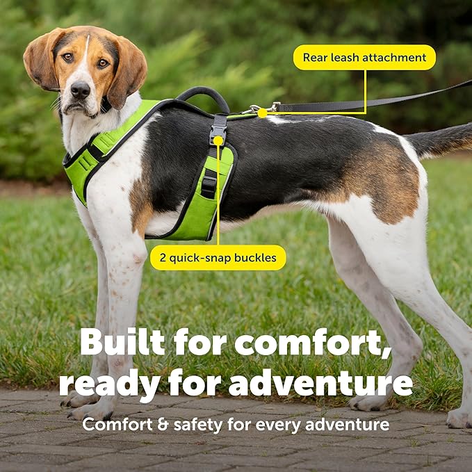 PetSafe EasySport Dog Harness Adjustable, Padded Dog Harness with Control Handle and Reflective Piping Large, Apple Green