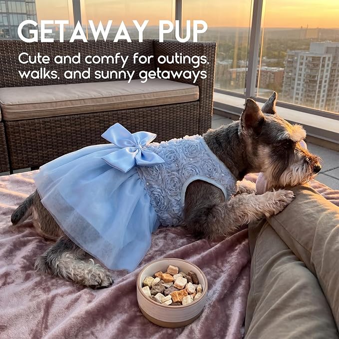 ASENKU Dog Dress Pet Wedding Dress Princess Lace Puppy Birthday Party Outfit Formal Apparel Girl for Small Medium Dogs Cats (XL, Blue)