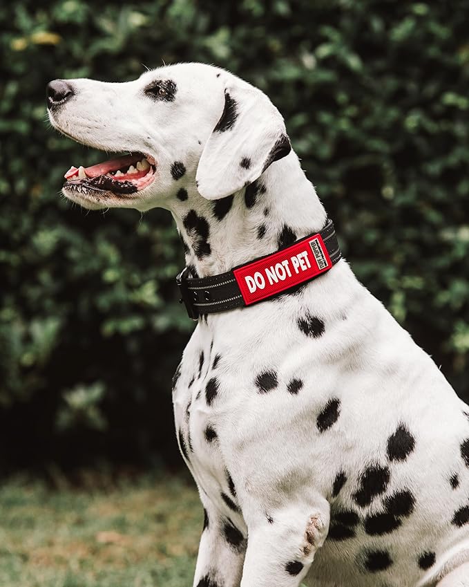 Tuff Pupper 2-Pack Waterproof Collar Sleeves | Fits Any 1 Inch Wide Dog Collar | Dual Sided Message | Durable Silicone & Neoprene | Odor & Stink Proof | Easy Slide On & Off (Do Not Pet, Standard)