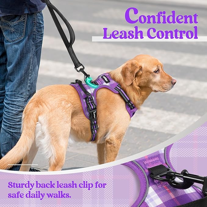 rabbitgoo Dog Harness No Pull with 2 Leash Clips, Adjustable Soft Padded, Reflective Oxford No Choke Pet Vest with Easy Control Handle for Medium Sized Dogs, Purple Plaid, M