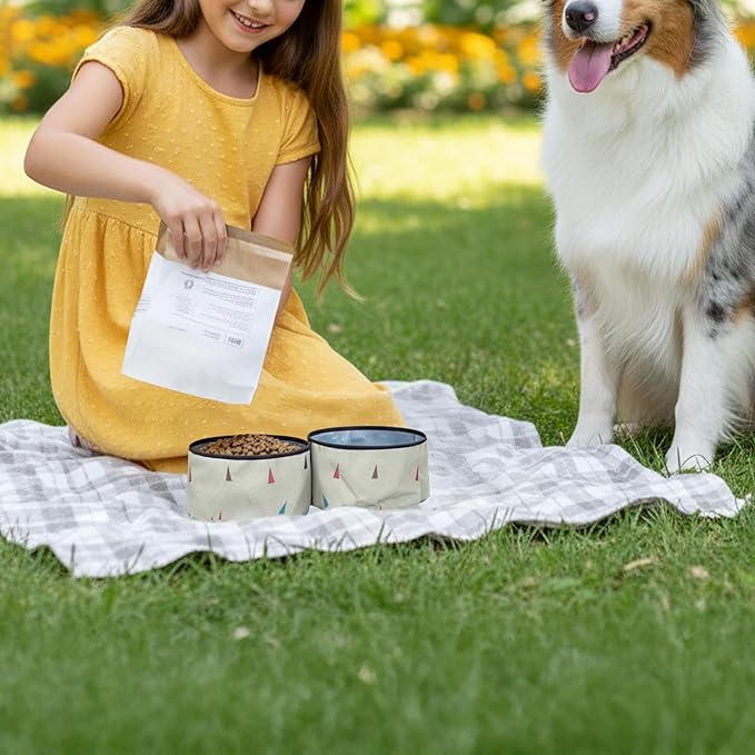 OllyDog Superbowl | Collapsible Dog Travel Bowl | 2-Compartment Food & Water | Foldable Portable Dog Dish | Hiking Camping Backpacking | Small Medium Large Dogs (Terrazzo)