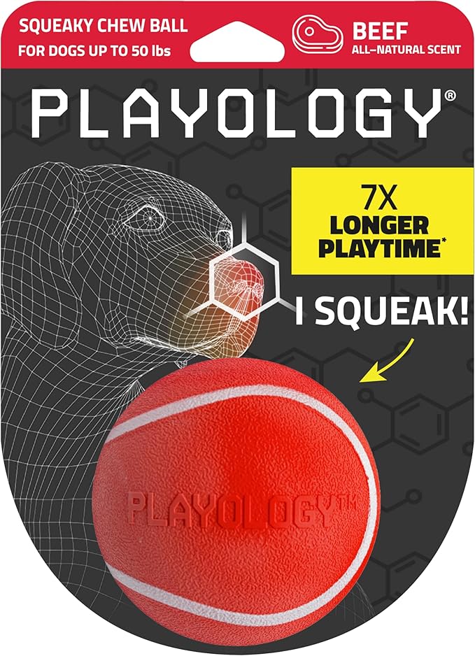 Playology Dog Toys | Squeaky Chew Ball for Dogs | Beef Scented Medium Dog Ball | Bouncy Floating Chew Toys for Fetch