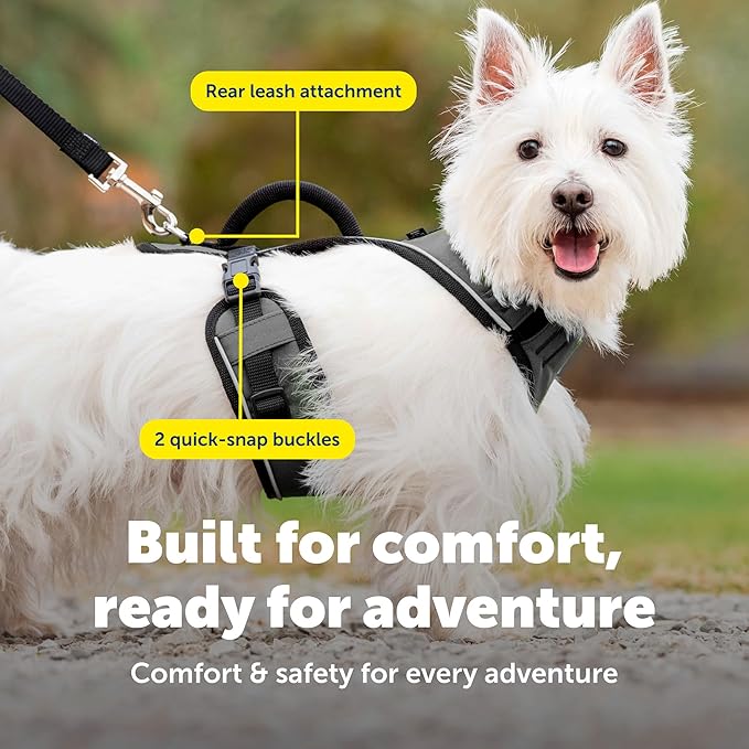 PetSafe EasySport Dog Harness - Padded, Adjustable Dog Harness with Control Handle and Reflective Piping - Great for Active Dogs - from the Makers of the Easy Walk Harness - Small, Charcoal