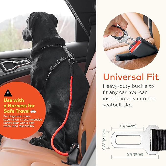 Dog Seat Belt for Car | Universal Pet Car Seatbelt with Reflective Climbing Rope, Aviation Aluminum Carabiner with 360° Swivel & Auto-Lock, Secure Safety Restraint (Canyon Red 360°)