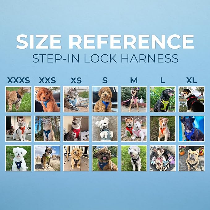 Best Pet Supplies Voyager Step-in Lock Pet Harness w Reflective Pet Leash Combo Set with Neoprene Handle 5ft - Supports Small, Medium and Large Breed Puppies/Cats - Turquoise/Black Trim Set, L