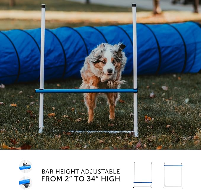 Better Sporting Dogs 3 Piece Essential Dog Agility Equipment Set | Agility Jump | Tire Jump | 10’ Tunnel with Sandbags