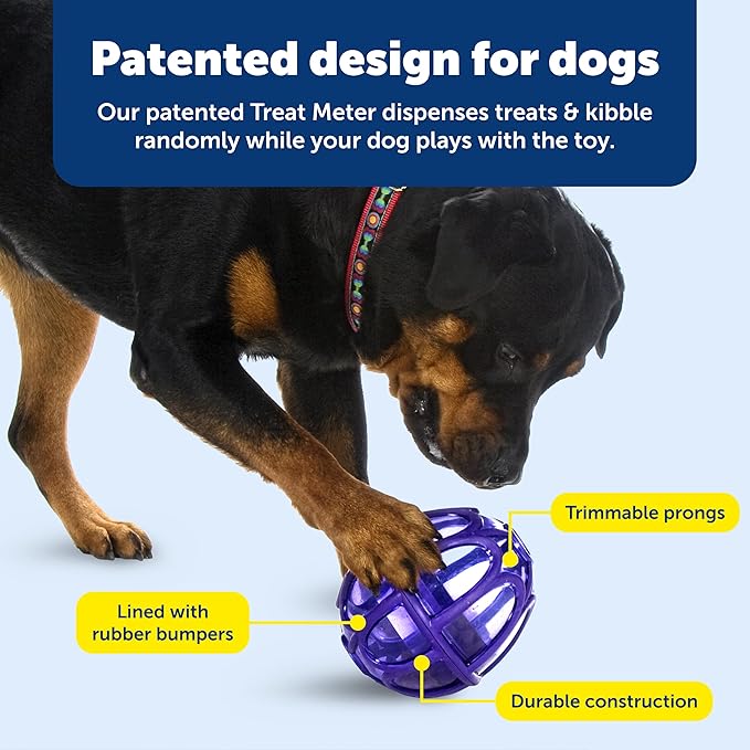PetSafe Busy Buddy Kibble Nibble - Dog Toy - Treat and Food Dispenser - Slow Feeder - Medium/Large