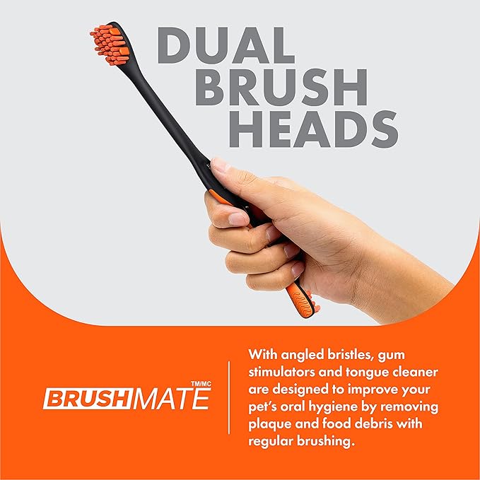 Brushmate Dog Toothbrush and Bite Block Assistant (Protects Hand and Fingers) Combo Pack by Paw Ready for Puppies' Dogs and Cats Medium Size for use with Pets Between 15-85 lbs. (7-38.5 Kg).